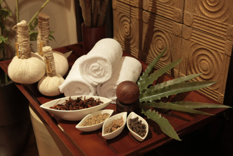 Spa pure là một mô hình spa có không gian và liệu trình hướng đến các phương pháp chăm sóc da bằng các nguyên liệu thiên nhiên