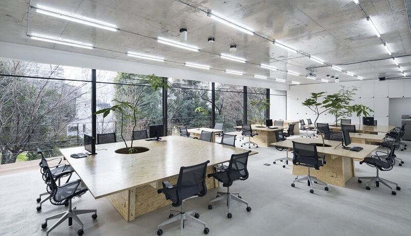 Những mẫu thiết kế văn phòng làm việc 50m2 đẹp, ấn tượng