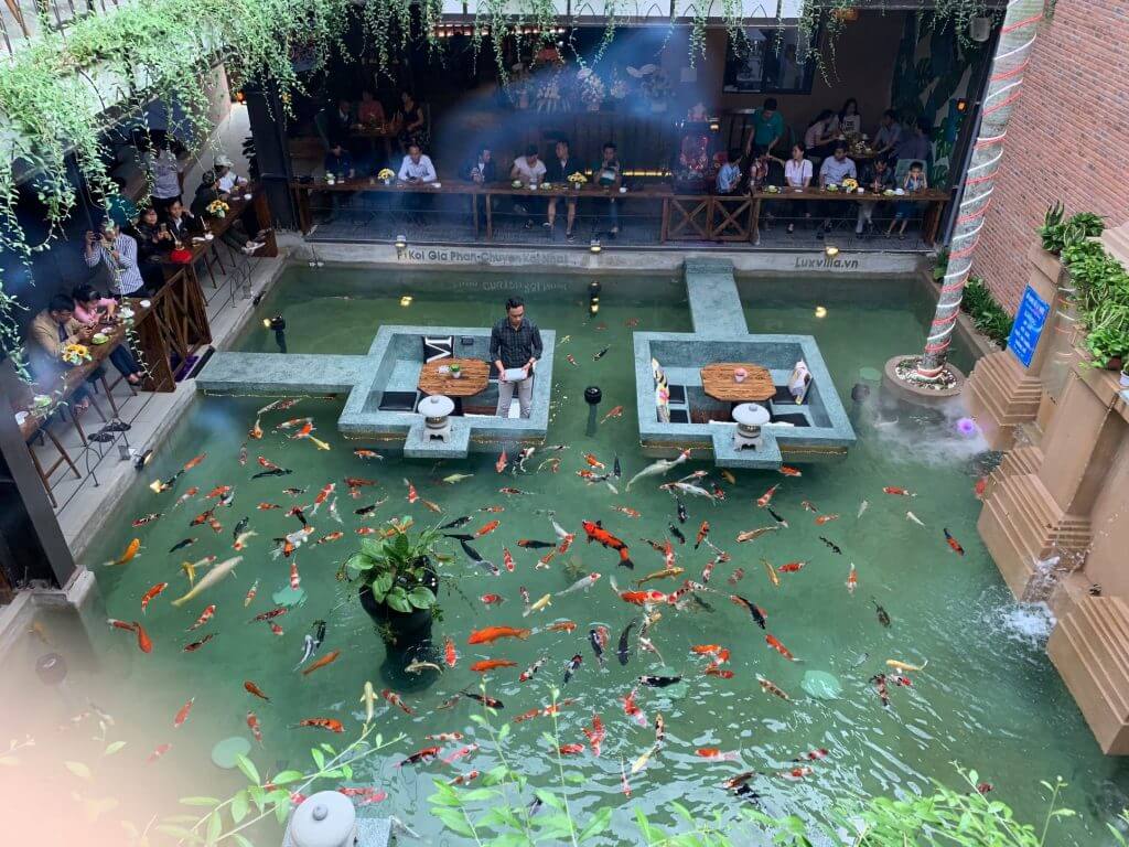 thiết kế quán cafe cá koi Pendecor