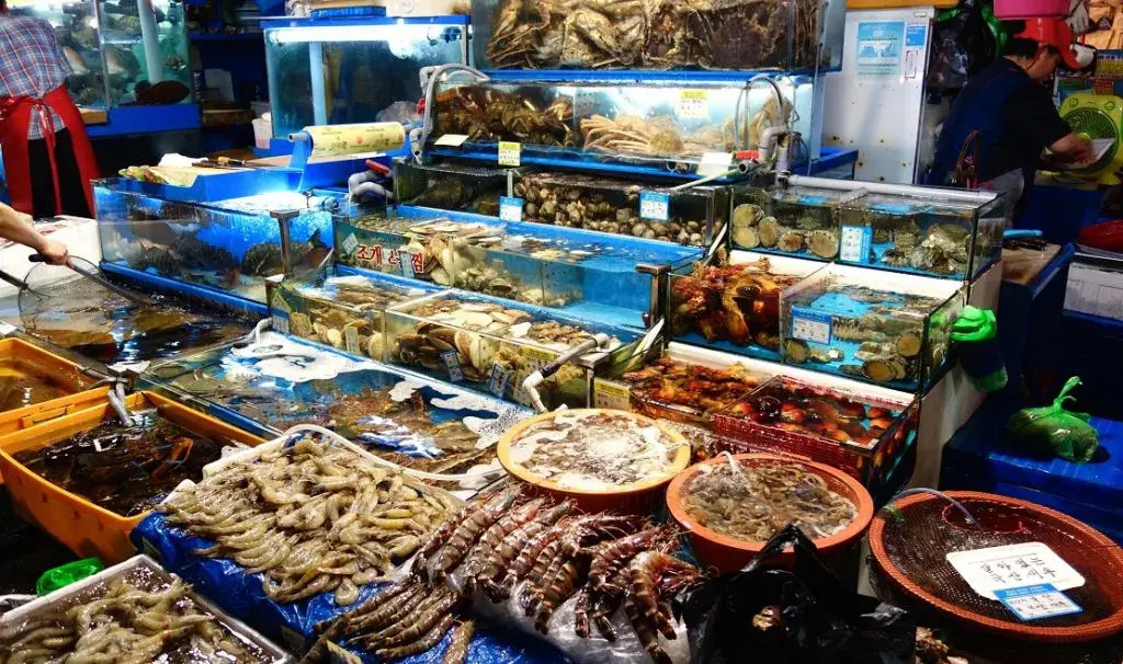 chi phí mở cửa hàng hải sản tươi sống Pendecor