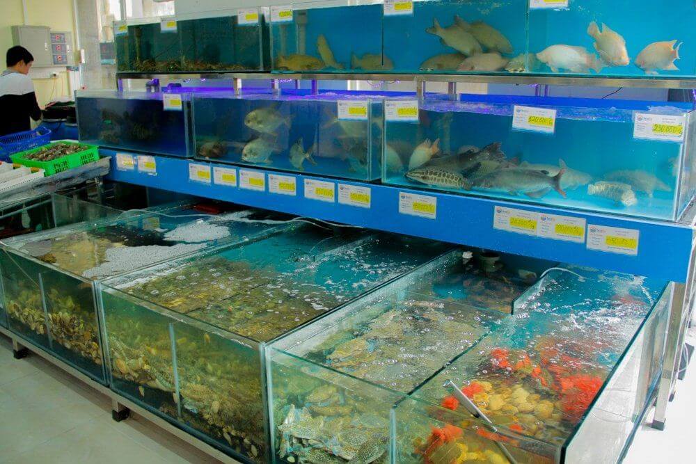 mở cửa hàng hải sản tươi sống