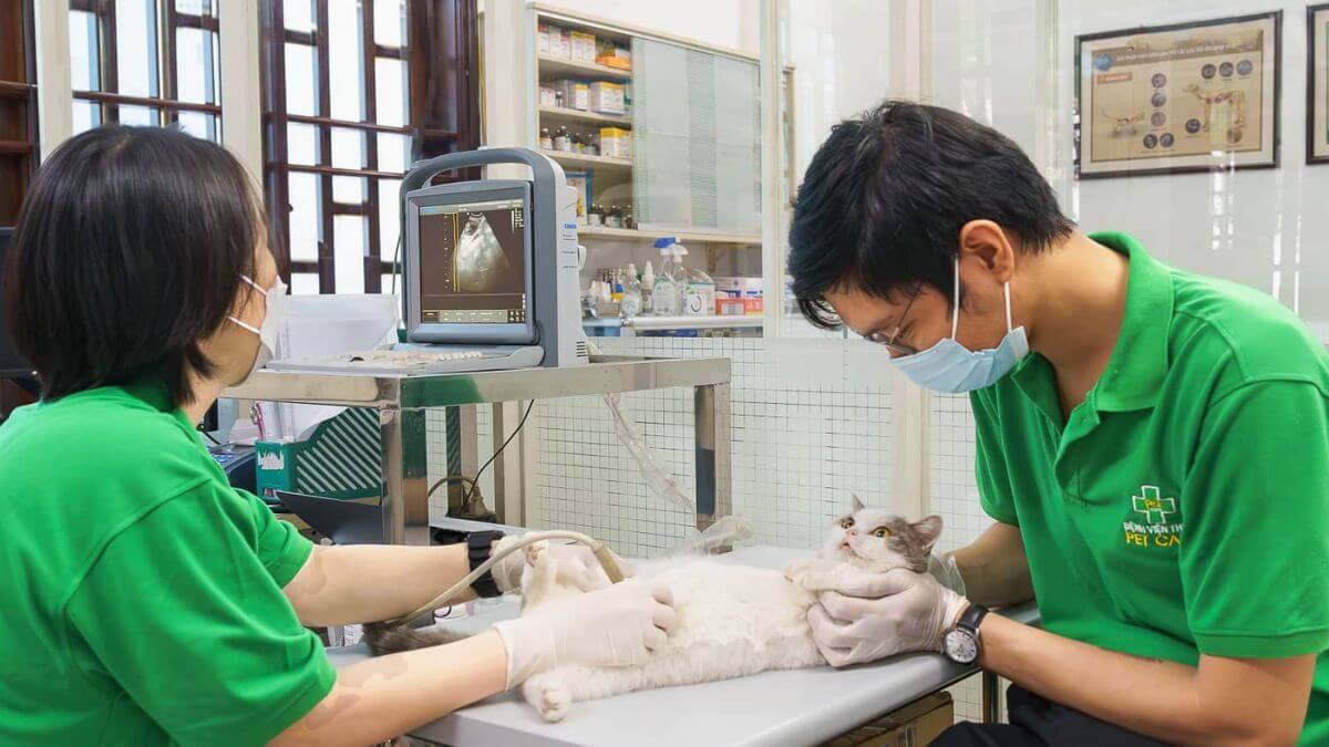 thiết kế phòng khám