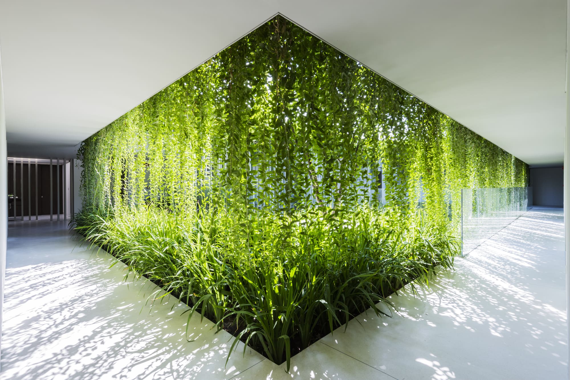 công ty thiết kế spa Pendecor